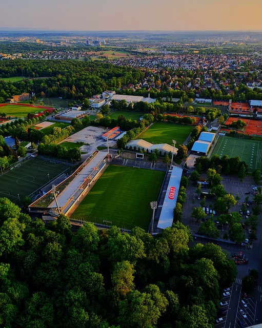 同时也为球 同时也为球